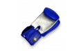Боксерские перчатки Twins Special FBGVL3-6 blue white 14 oz