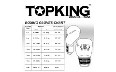 Боксерские перчатки Top King Boxing SUPER AIR STAR silver 10 oz
