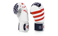 Боксерские перчатки Fairtex BGV1 USA 14 oz