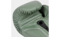 Боксерские перчатки Fairtex BGV11 F-DaY 12 oz