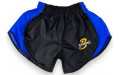 Шорты для бокса Blegend Powerhous black blue - M