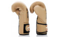 Боксерские перчатки Fairtex BGV25 F-DaY2 12 oz