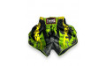 Шорты для бокса Twins Special TBS Candy green S