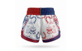 Шорты для Muay Thai Twins Special TBS Yant L